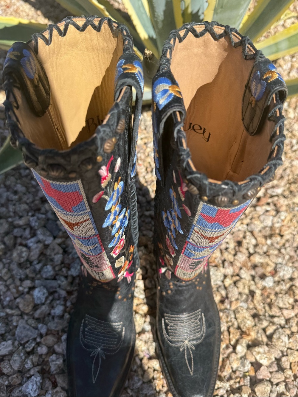 Black Embroidered Women's UT Austin Western Allens Boots Size 6 Worn only once! - Picture 11 of 16